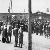 Französische Kriegsgefangene bei ihrer Ankunf auf der Lagerstraße des Stalag II